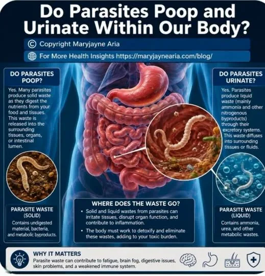 Do Parasites Poop and Urinate in Our Body?