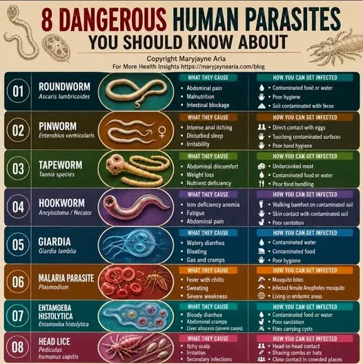 8 Dangerous Human Parasites You Should Know About