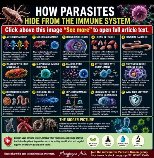 HOW PARASITES HIDE FROM THE IMMUNE SYSTEM
