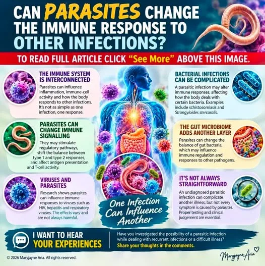 CAN PARASITES CHANGE THE IMMUNE RESPONSE TO OTHER INFECTIONS?